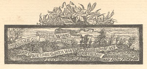 E.V.B. Drawing on page dated February 1883.