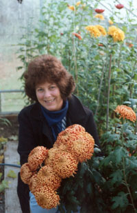 Patricia with chrysanthemums 'Lilian Shoesmith'.