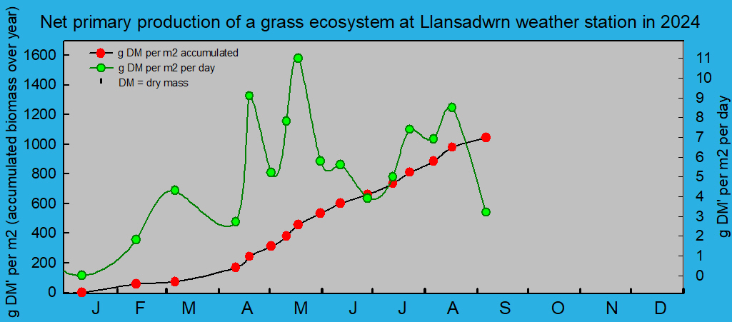 Net primary production and growth of the grass ecosystem at Llansadwrn weather station:  © 2024 D.Perkins.