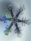 Snow star crystal 1.5mm diameter grown on an electric needle: Photo Ken Libbrecht.