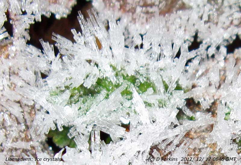 In celebration of 12/12/12: Ice crystals.