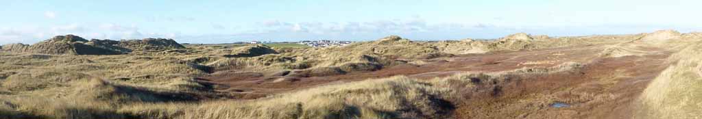 The 'brown' middle slack at Aberffraw Dunes in winter.
