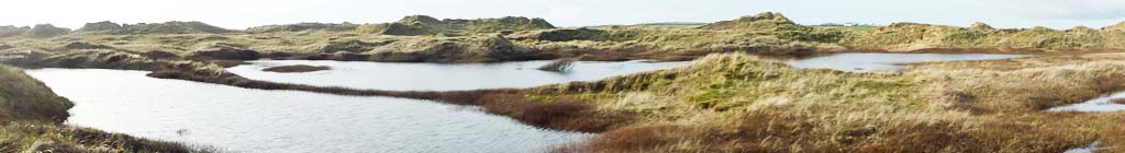 Flooded narrow and middle hollow slacks at Aberffraw dunes, view NE.