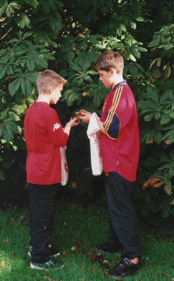 Gathering conkers. Photo: © 2000 D Perkins.