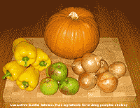 Main ingredients for making pumpkin chutney. Click for a larger image.