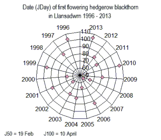 Dates of flowering of blackthorn in Llansadwrn 1996-2013.