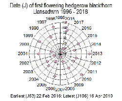 Dates of flowering of blackthorn in Llansadwrn 1996-2017.