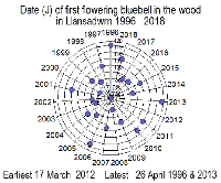 Dates of flowering of bluebell in Llansadwrn 1996-2018.