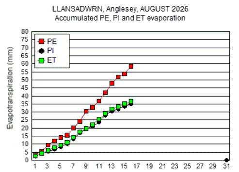 Aug_pe.gif