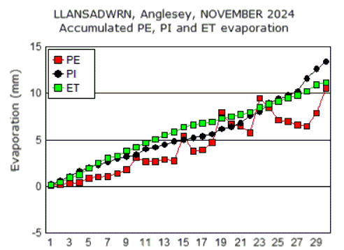 Nov_pe.gif