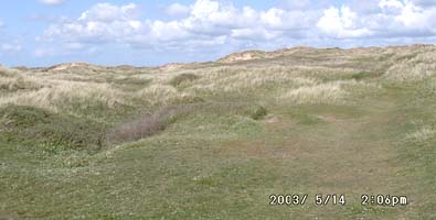 The sand dune system at Aberffraw, Anglesey.