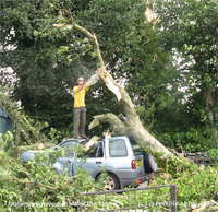 Car damaged by falling ash tree during the storm in Llanfairpg.