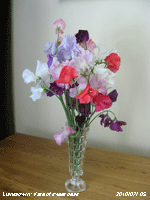 Vase of sweet peas picked from the garden.