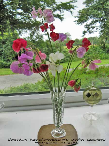 Vase of garden sweet peas with a Crookes Radiometer.