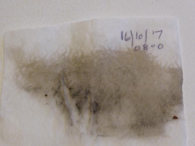 Sample of dust collected in Llansadwrn from clean surface at 0800 GMT.