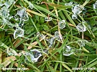 Large clear ice drops formed when globules of water from melting snow froze rapidly.